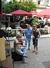 IMG_1146.JPG IMG_1146.JPG